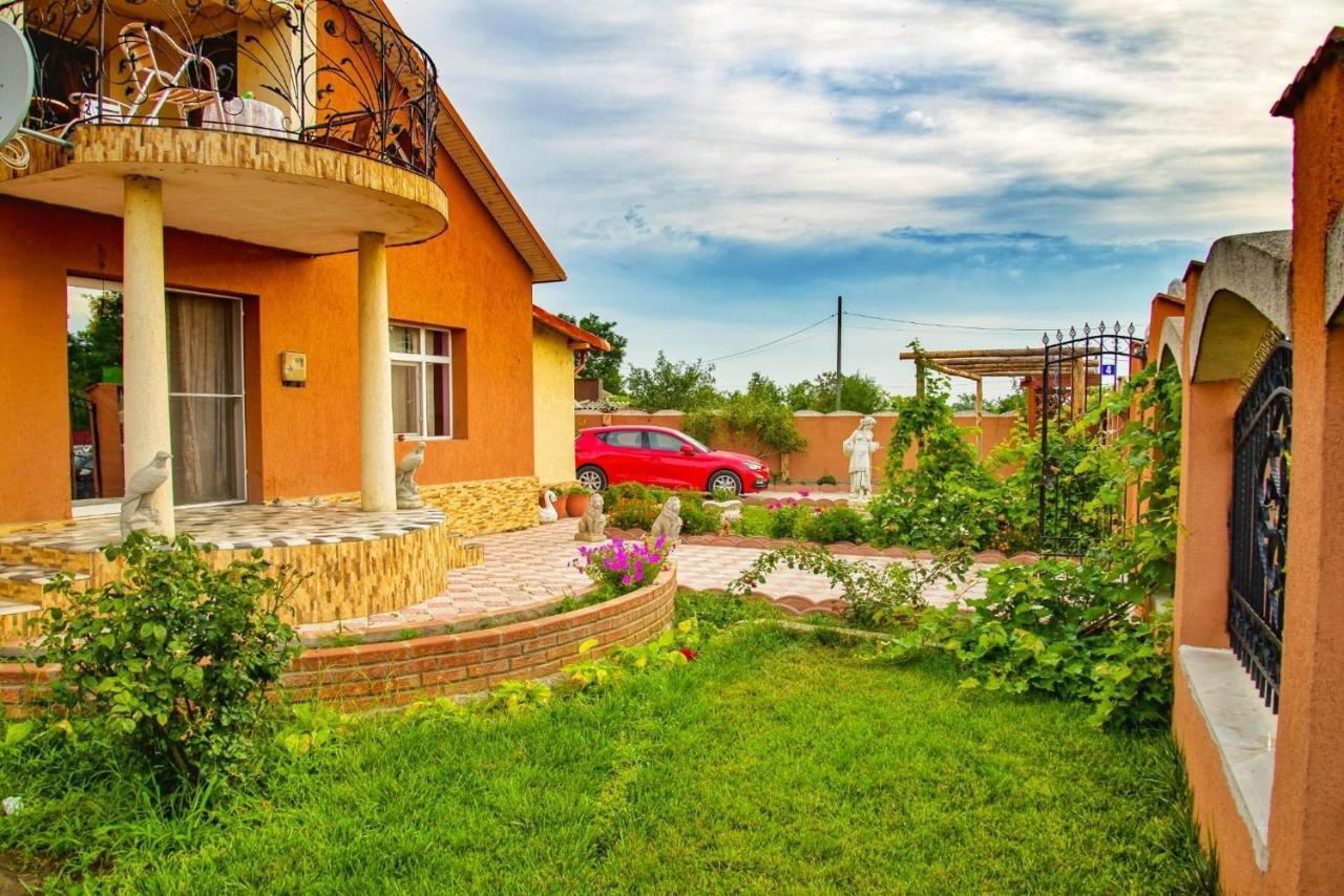 Pensiunea Burciu Salcioara  Exterior foto