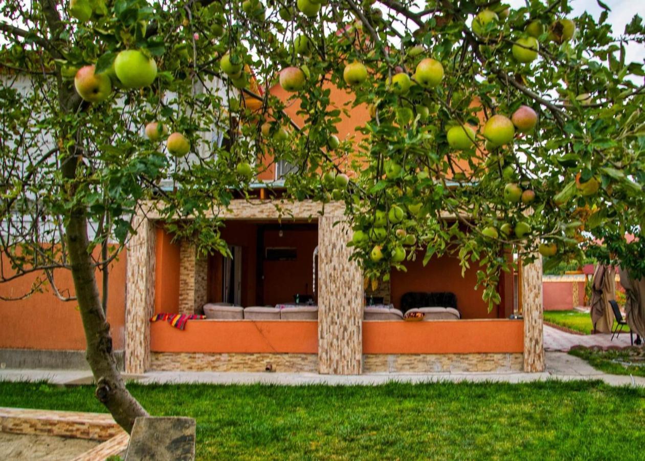 Pensiunea Burciu Salcioara  Exterior foto