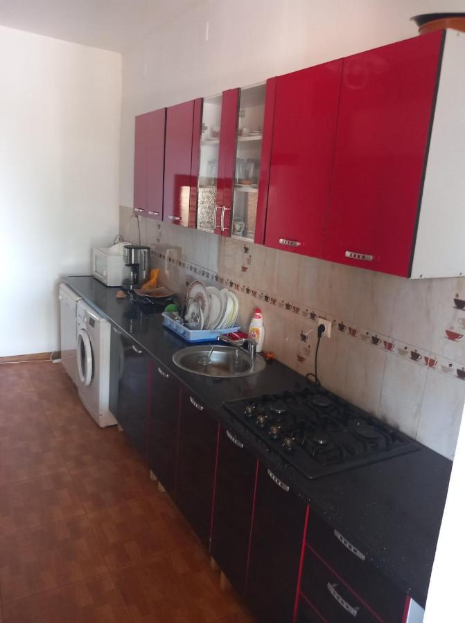 Pensiunea Burciu Salcioara  Exterior foto